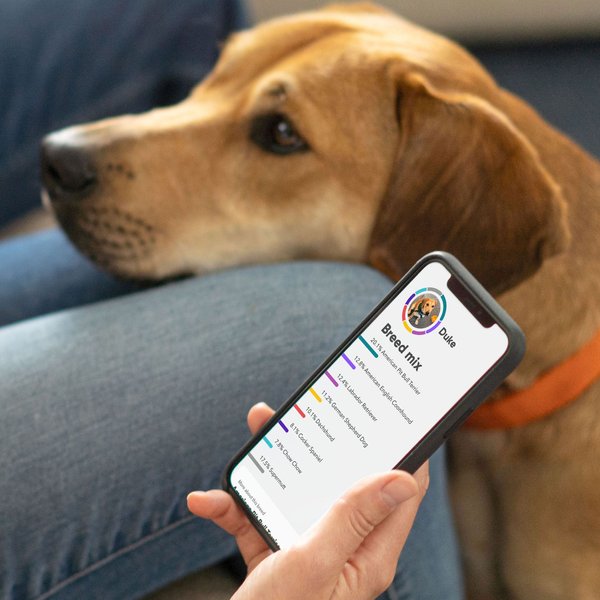 Show full view: Embark Breed Identification DNA Test for Dogs slide 8 of 9