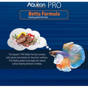 Best food on sale for betta fish