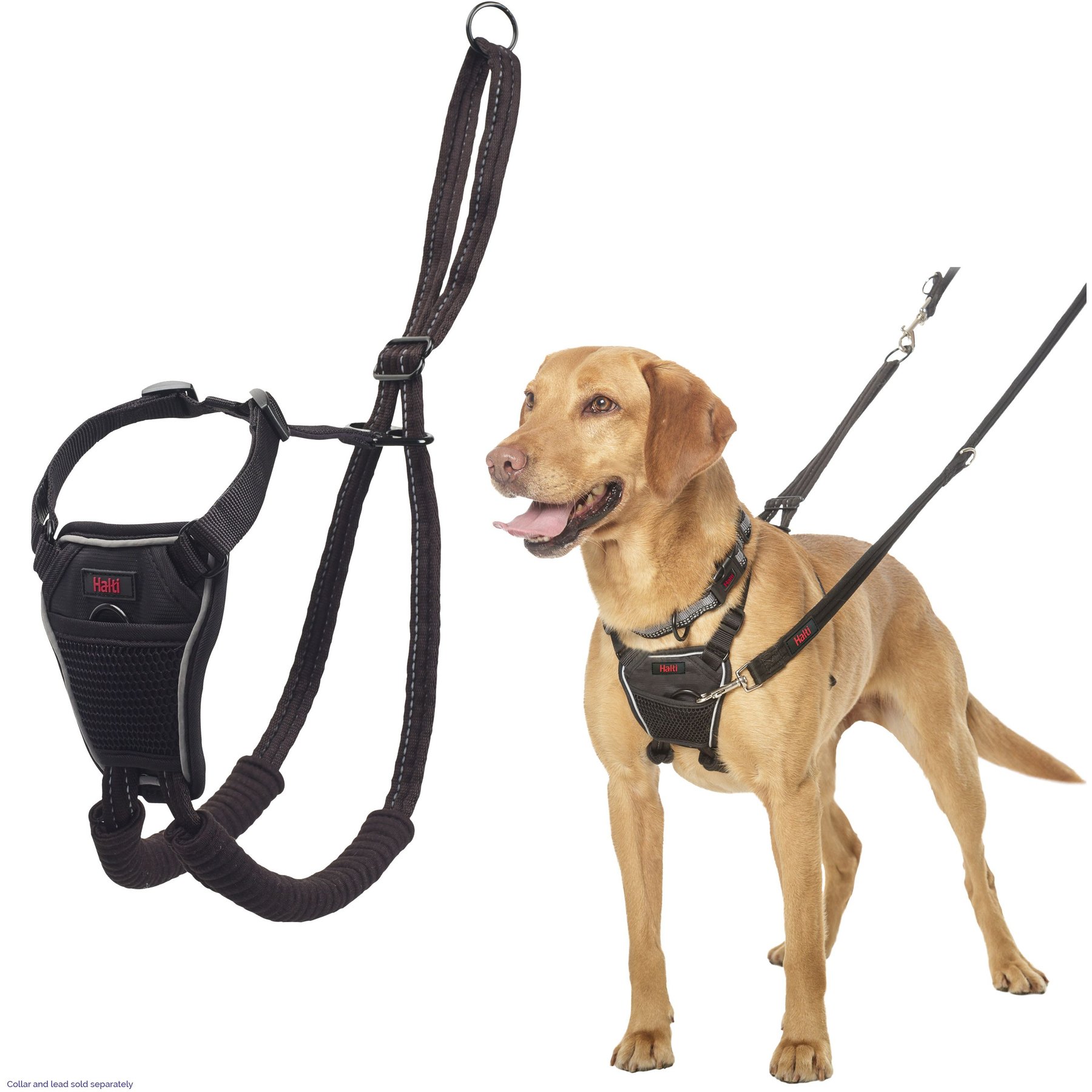 WAUDOG  Premium Dog Collars & Leashes & Harnesses & Muzzles