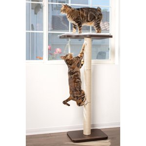 PetFusion Ultimate Window Cat Perch