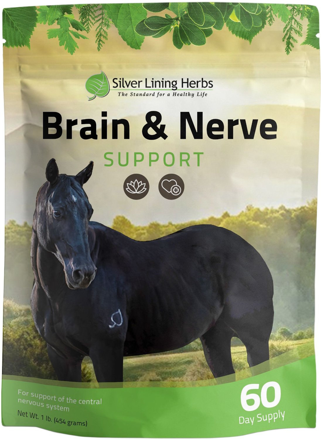 Silver Lining Herbs Brain & Nerve Support Powder Horse Supplement, 1-lb bag