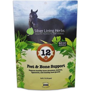 Silver Lining Herbs Feet & Bone Support Powder Horse Supplement, 1-lb bag