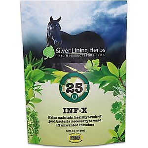 Silver Lining Herbs INF-X Immune Support Powder Horse Supplement, 1-lb bag