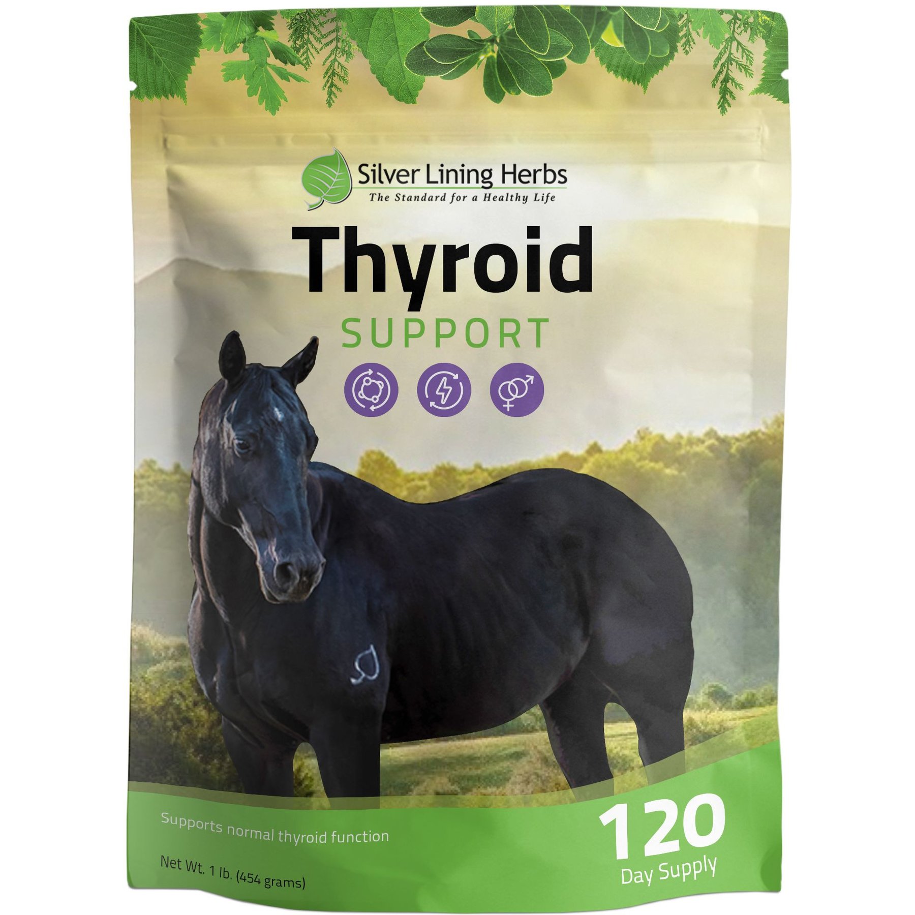Silver Lining Herbs Thyroid Support Powder Horse Supplement, 1-lb bag