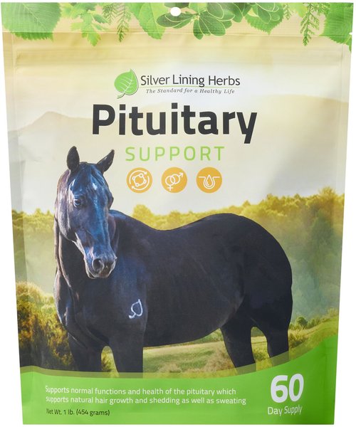 Silver Lining Herbs Pituitary Support Powder Horse Supplement, 1-lb bag slide 1 of 2