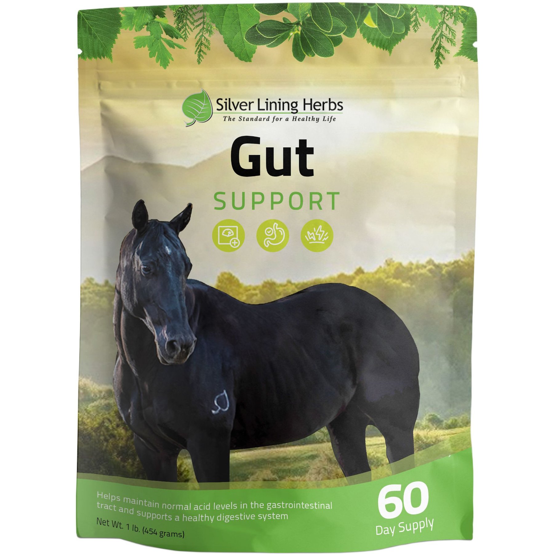 Silver Lining Herbs LCR Gut Support Digestive Health Powder Horse Supplement, 1-lb bag