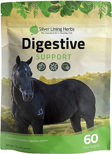 Silver Lining Herbs Digestive Support Powder Horse Supplement, 1-lb bag slide 1 of 2