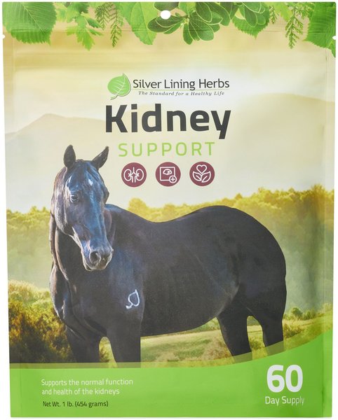 Silver Lining Herbs Kidney Support Powder Horse Supplement, 1-lb bag slide 1 of 2