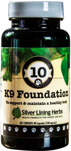 Silver Lining Herbs K9 Foundation Dog Supplement, 90 count slide 1 of 1