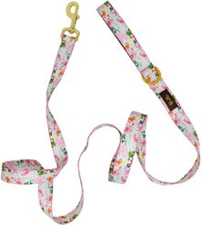 Pink Papyrus Isabella Polyester Dog Leash, 6-ft long, 1-in wide slide 1 of 4