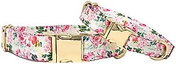 Pink Papyrus Isabella Polyester Dog Collar, X-Small: 8 to 12-in neck, 5/8-in wide