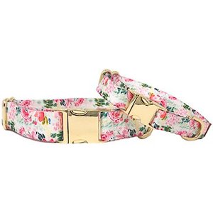Lilly Pulitzer Gypsea — Penny's Collars & More - Custom Collars