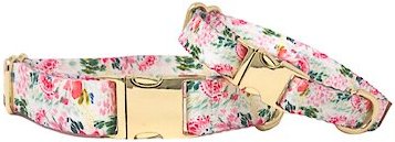 Pink Papyrus Isabella Polyester Dog Collar, Small: 11 to 16-in neck, 5/8-in wide slide 1 of 4