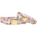 Pink Papyrus Isabella Polyester Dog Collar, Medium: 13 to 19-in neck, 1-in wide