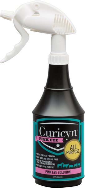 Curicyn All-Purpose Dog, Cat, Bird, Farm Animal & Horse Pink Eye Solution, 24-oz bottle slide 1 of 1