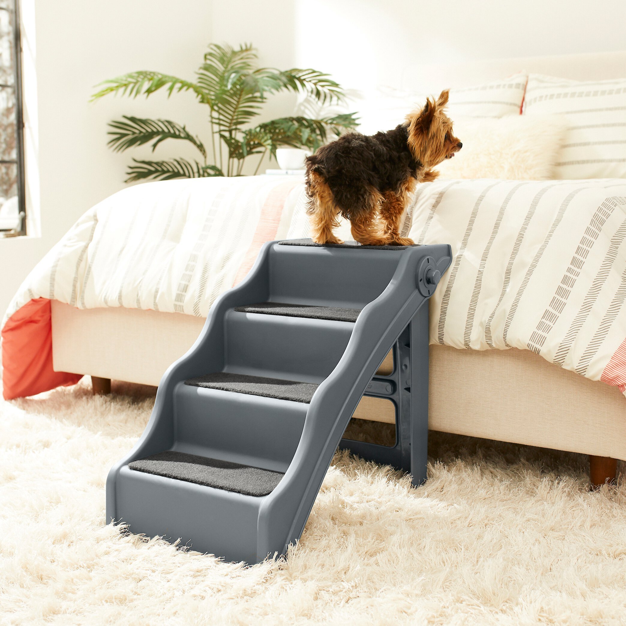 FRISCO Foldable Nonslip Cat & Dog Stairs Customer Questions - Chewy.com