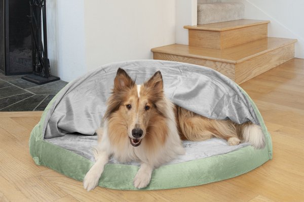FurHaven Microvelvet Snuggery Orthopedic Cat & Dog Bed w/Removable Cover, Sage, 44-in slide 1 of 10