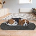 FurHaven Minky Plush Luxe Lounger Orthopedic Cat & Dog Bed with Removable Cover, Gray, Medium