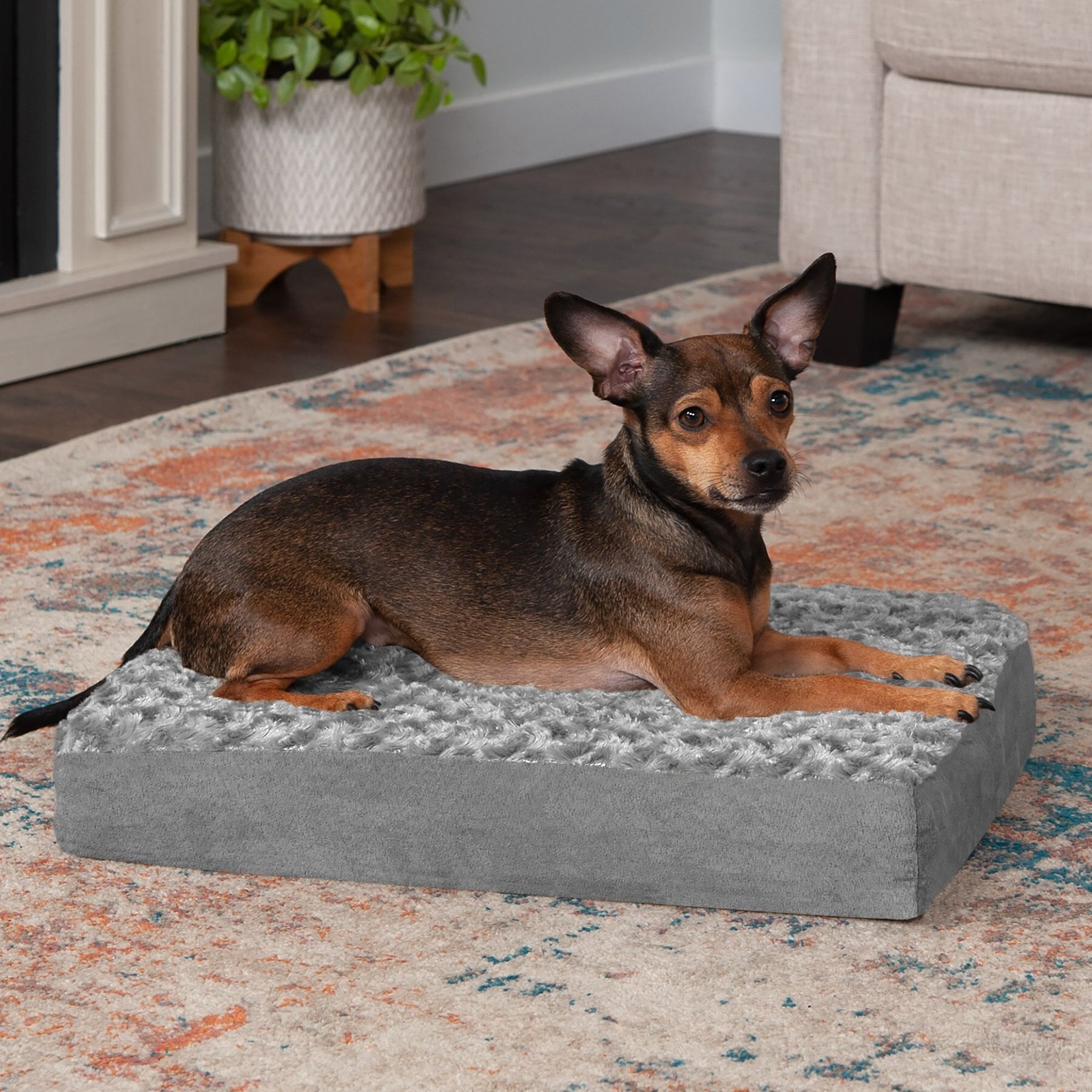 Stunning Elevated Foam Pillow Dog Bed image