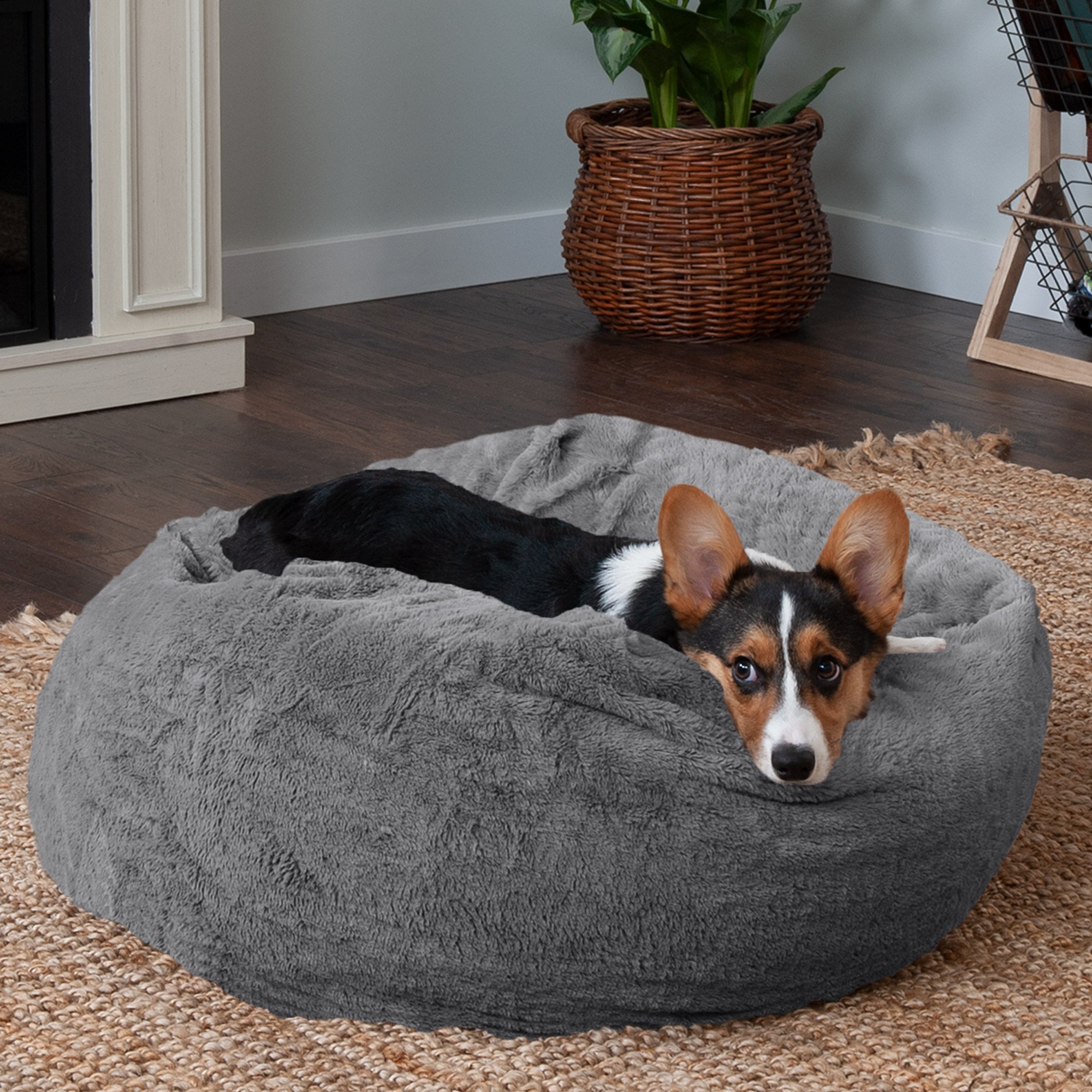 Can cat use this bed also? | Chewy.com