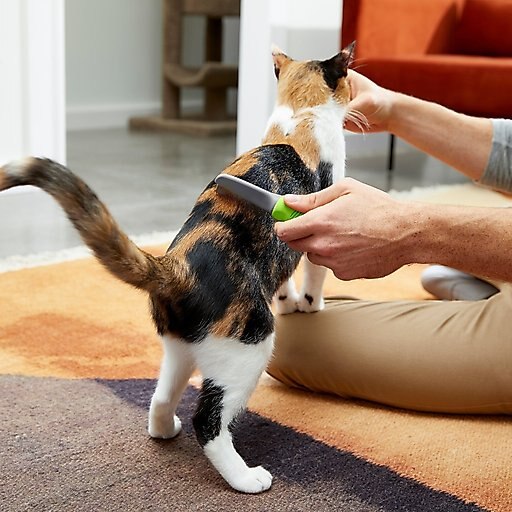 Frisco Single-Row Flea Comb for Cats & Dogs, Mini