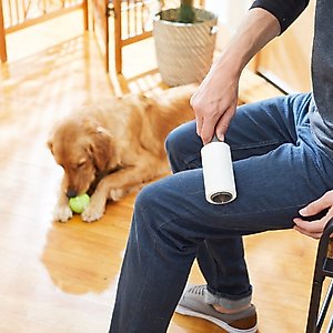 Frisco Cat & Dog Hair Lint Roller, Regular, 60 Sheets