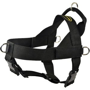 Dean & Tyler DT Universal No Pull Dog Harness, Large