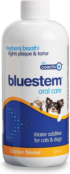 Bluestem Oral Care Chicken Flavored Dog & Cat Dental Water Additive, 17-oz bottle slide 1 of 1