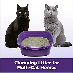 Arm & Hammer Litter Slide Multi-Cat Scented Clumping Clay Cat Litter, 38-lb box