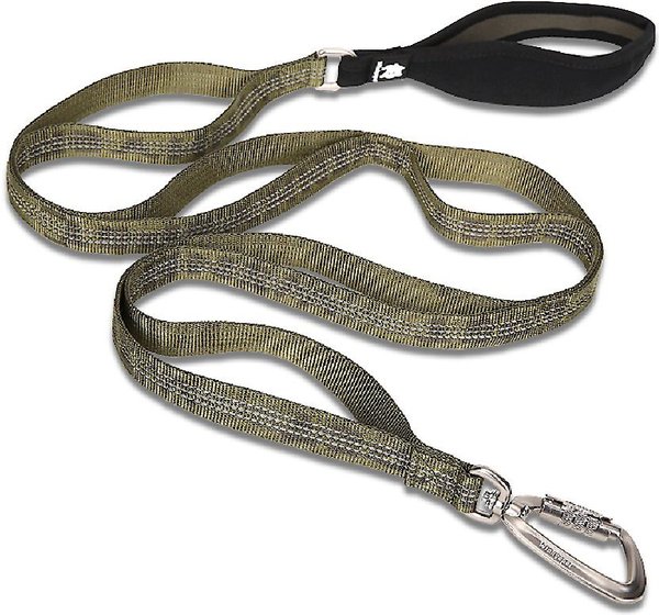 Chai's Choice Premium Trail Runner Multi Handle Heavy Duty Training Polyester Reflective Dog Leash, Army Green, Large: 4.5-ft long, 1-in wide slide 1 of 6