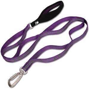 Chai's Choice Premium Trail Runner Multi Handle Heavy Duty Training Polyester Reflective Dog Leash, Purple, Large: 4.5-ft long, 1-in wide