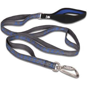Chai's Choice Premium Trail Runner Multi Handle Heavy Duty Training Polyester Reflective Dog Leash, Blue/Gray, Medium: 4.5-ft long, 4/5-in wide