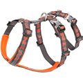 Chai's Choice Double H Trail Runner Polyester Reflective No Pull Dog Harness, Orange, X-Large: 31 to 39-in chest