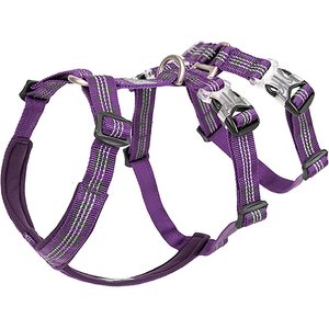 Chai's Choice Double H Trail Runner Polyester Reflective No Pull Dog Harness, Purple, Medium: 20 to 24-in chest