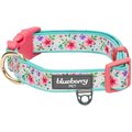 Blueberry Pet Pretty Posies Spring Padded Polyester Dog Collar, Garden Green, Small: 12 to 16-in neck, 5/8-in wide