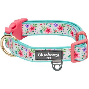 Blueberry Pet Pretty Posies Spring Padded Polyester Dog Collar, Garden Green, Large: 18 to 26-in neck, 1-in wide