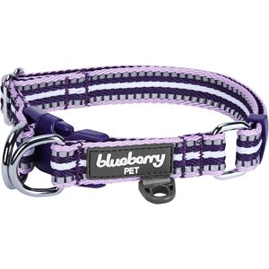 Blueberry Pet 3M Multi-Colored Stripe Polyester Reflective Dog Collar, Orchid & Lavender, Small: 12 to 16-in neck, 5/8-in wide