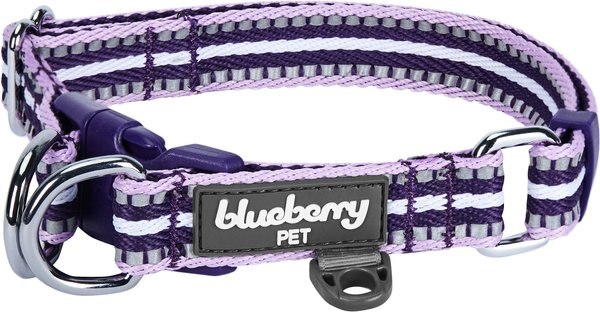 Blueberry Pet 3M Multi-Colored Stripe Polyester Reflective Dog Collar, Orchid & Lavender, Large: 18 to 26-in neck, 1-in wide slide 1 of 8
