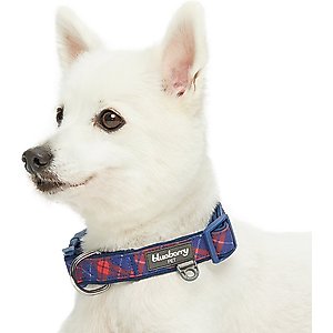 Blueberry Pet Soft & Comfy Padded Polyester Dog Collar, Navy Blue & Red Plaid, Medium: 14.5 to 20-in neck, 3/4-in wide