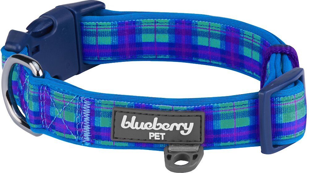 BLUEBERRY PET Soft & Comfy Padded Polyester Dog Collar, Hudson Blue