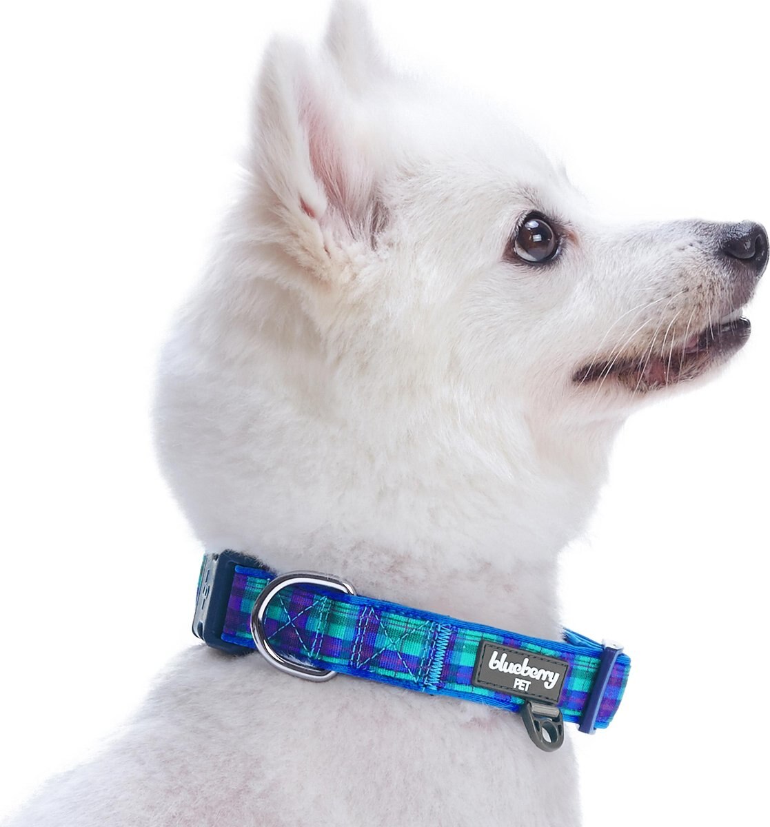 BLUEBERRY PET Soft & Comfy Padded Polyester Dog Collar, Hudson Blue, Large 18 to 26in neck, 1
