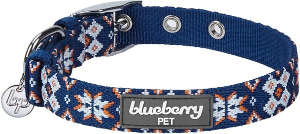 Blueberry Pet Tribal Metal Buckle Dog Collar