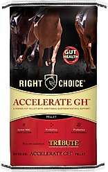Right Choice Accelerate GH Gut Health Horse Feed, 50-lb bag
