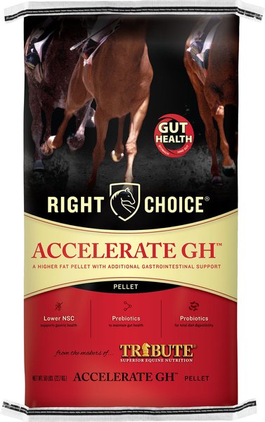 Right Choice Accelerate GH Gut Health Horse Feed, 50-lb bag slide 1 of 3