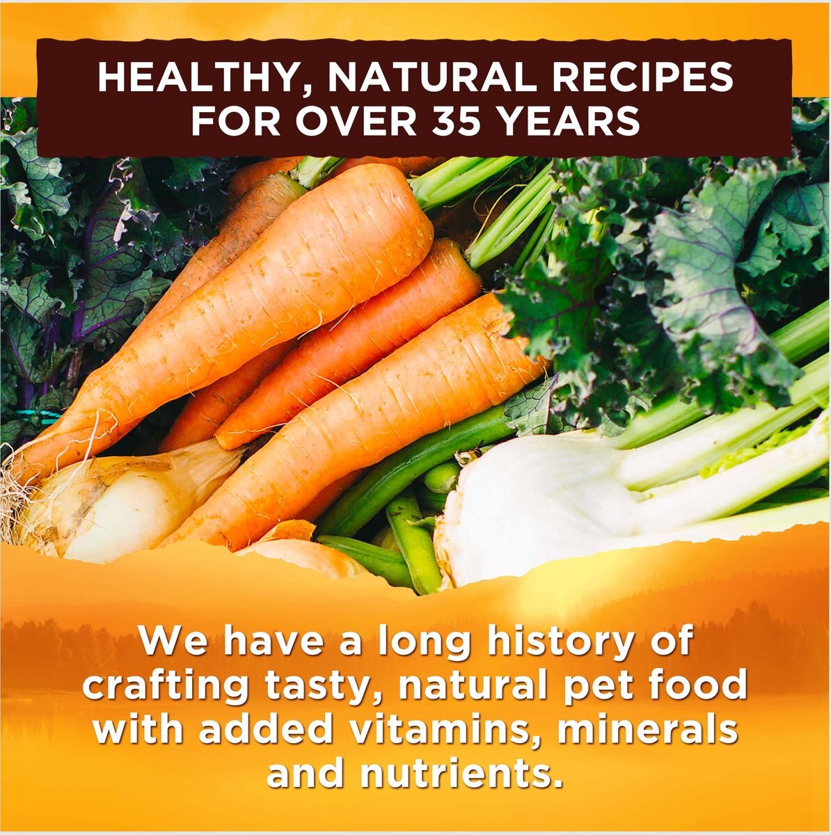 NATURE'S RECIPE Variety Pack GrainFree Wet Dog Food, 2.75oz, case of