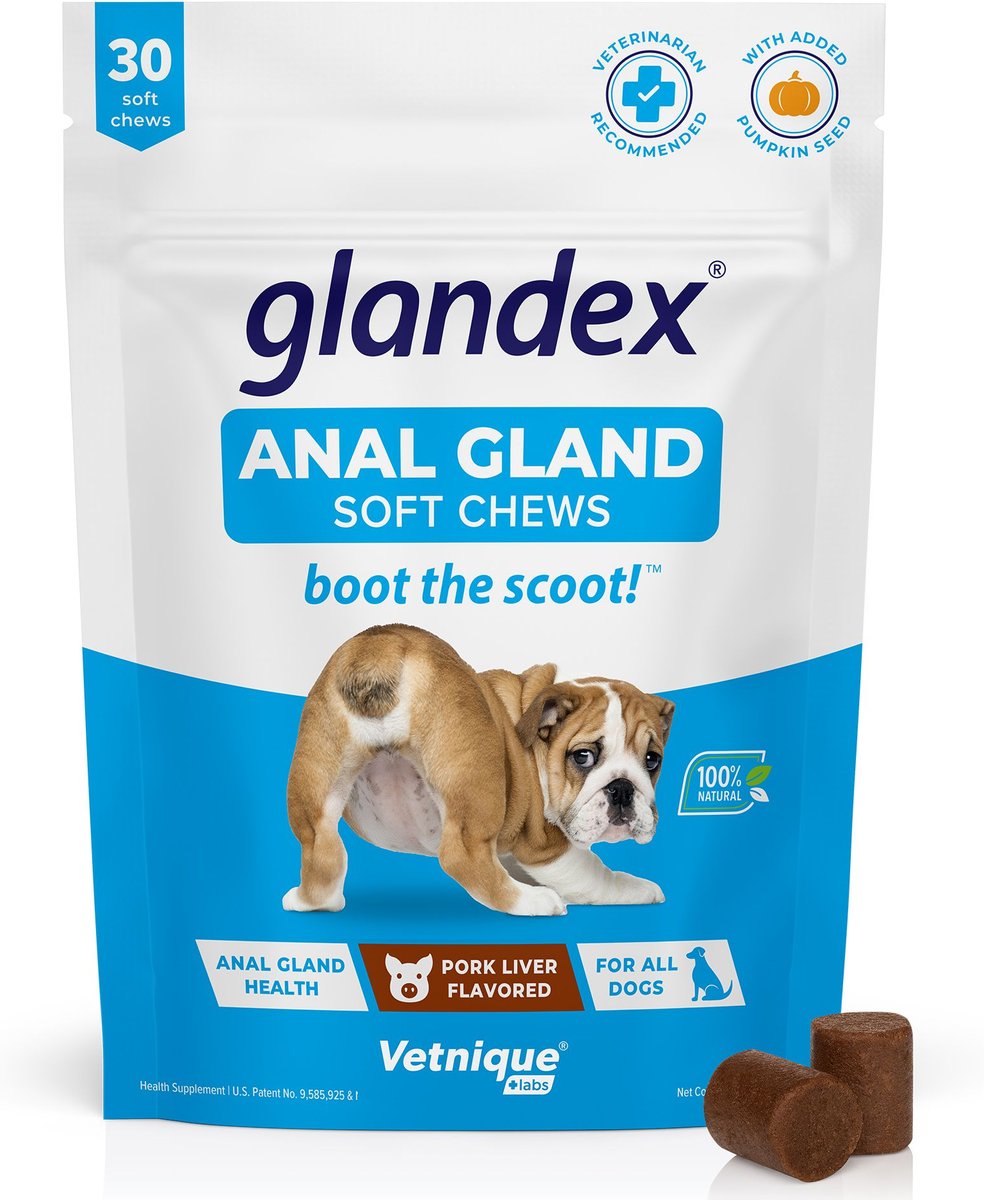 Chewy glandex sale