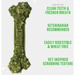 VetIQ Minties Tiny/Small Dental Bone Dog Treats