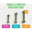 VetIQ Minties Medium/Large Dental Bone Dog Treats