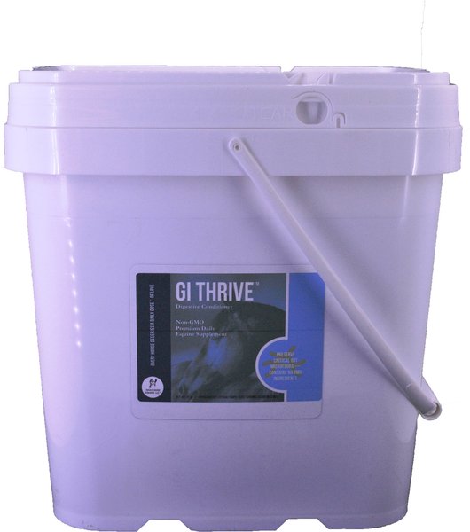 DAILY DOSE EQUINE GI Thrive Digestive Conditioner Powder Horse