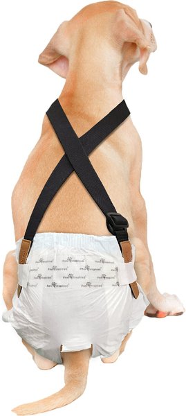 Paw Inspired Dog Diaper Suspenders, Small/Medium slide 1 of 10
